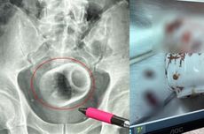 Prabowo: Semua Daerah Harus Siap Menghadapi Perubahan Iklim