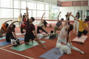 Dulu Tas Branded, Kini Wellness Jadi Simbol Kemewahan