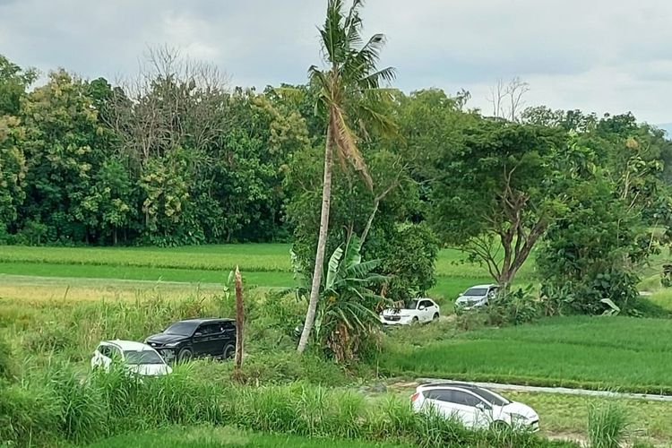 Hendak Masuk Tol, Ratusan Mobil Nyasar ke Sawah Karena Google Maps