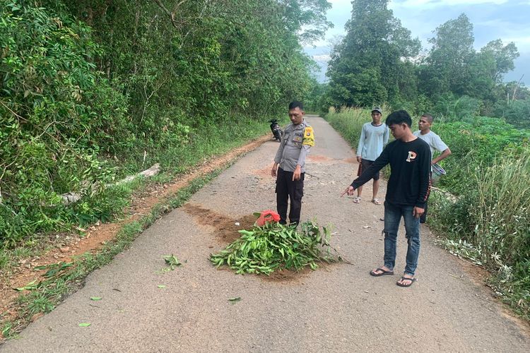 Bekas kecelakaan pemuda tewas tertimpa pohon tumbang di Desa Simpang Yul, Bangka Barat, Babel.