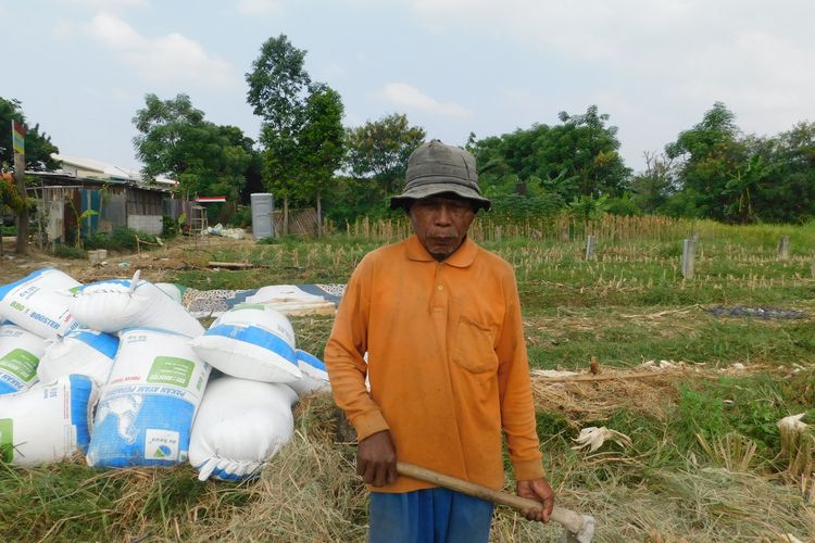 Salip dan Cangkulnya: 55 Tahun Menyambung Hidup dari Bertani