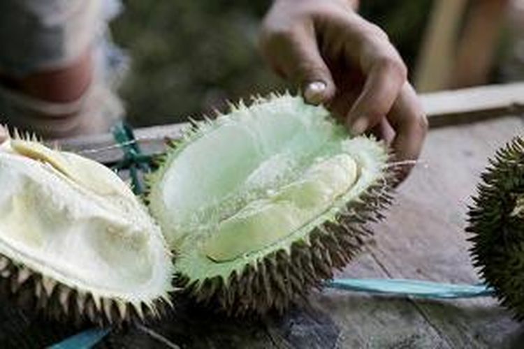 Durian Lokal