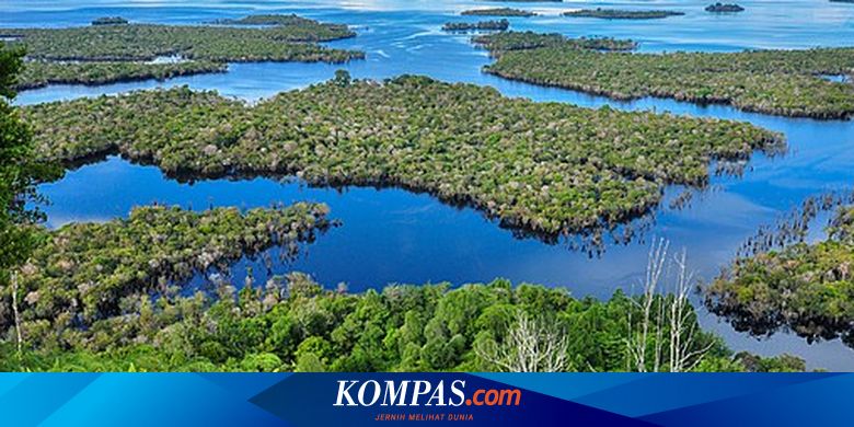 Tanggal 2 Februari Hari Memperingati Apa?