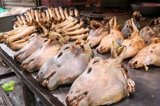 7 Ekor Kambing Digondol Maling di Tangsel, Langsung Dipotong di Kandang