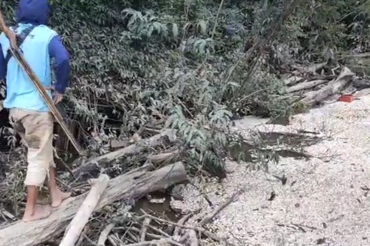 Tangkapan layar ribuan ikan mati mendadak di anak sungai Batanghari