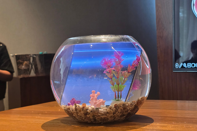 Huawei Mate X7 masih berfungsi saat dimasukkan ke dalam air, berkat dukungan sertifikasi IP58 dan IP59.