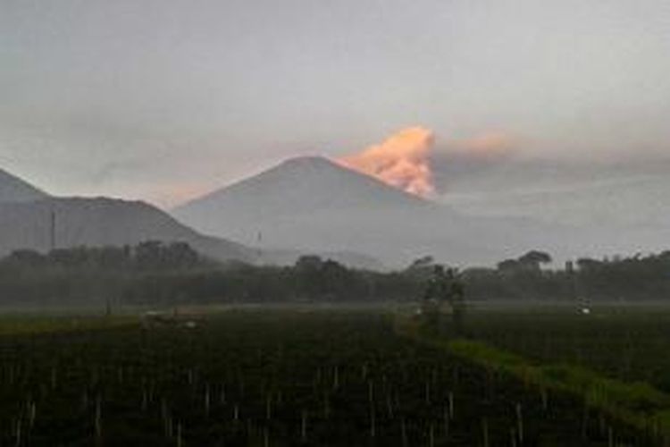 Foto dari kamera smartphone menunjukkan pemandangan kebun cabai di kaki Pergasingan, di Desa Sembalun Lawang, Lombok Timur. Aktivitas Gunung Barujari di Kaldera Gunung Rinjani, tidak banyak mempengaruhi kehidupan warga Desa Sembalun Lawang yang letaknya di sebelah timur gunung, karena abu vulkanik terlihat mengarah ke barat.