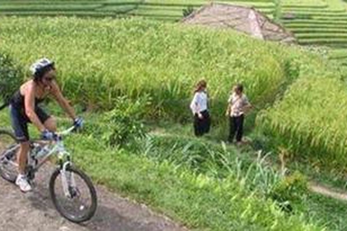 Menyusuri pematang sawah di Jatiluwih, Tabanan, Bali. 