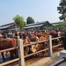 Sebulan Jelang Idul Adha, Pasar Hewan di Gunungkidul Diserbu Peternak