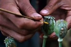 Myanmar Krisis Ekonomi, Ekspor Narkoba Melonjak