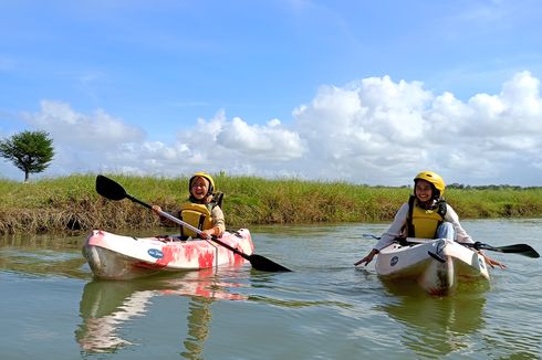 4 Tips Naik Kano Mangrove Baros Yogyakarta, Wajib Reservasi 