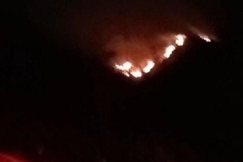 Lahan di Gunung Singa Kabupaten Bandung Terbakar, Pemadaman Terkendala Akses dan Jarak