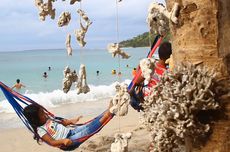 Pantai Pandanan di Lombok: Daya Tarik, Kuliner, dan Rute 