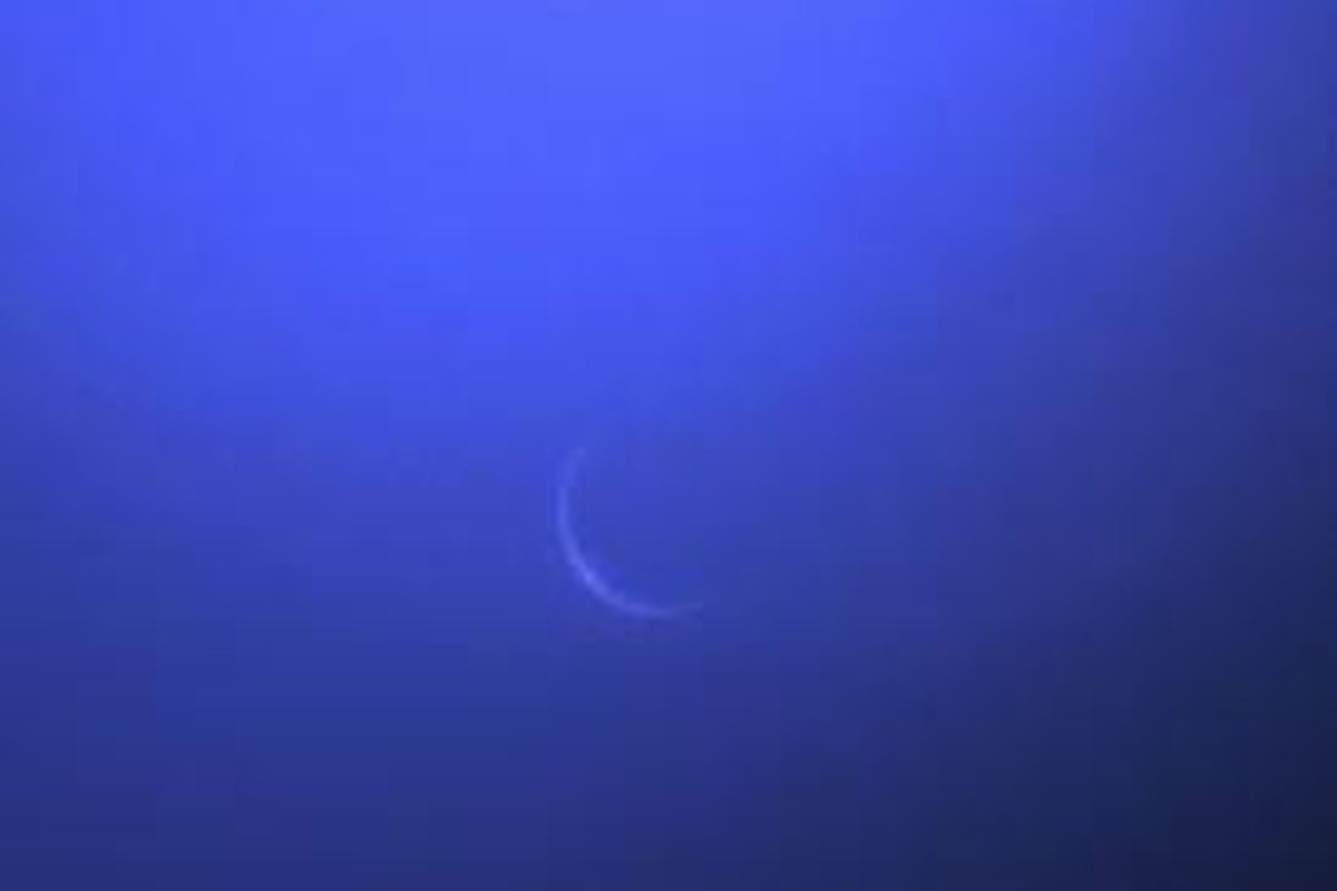 Venus berbentuk sabit diabadikan di langit Yogyakarta oleh astronom amatir Mutoha Arkanuddin. 