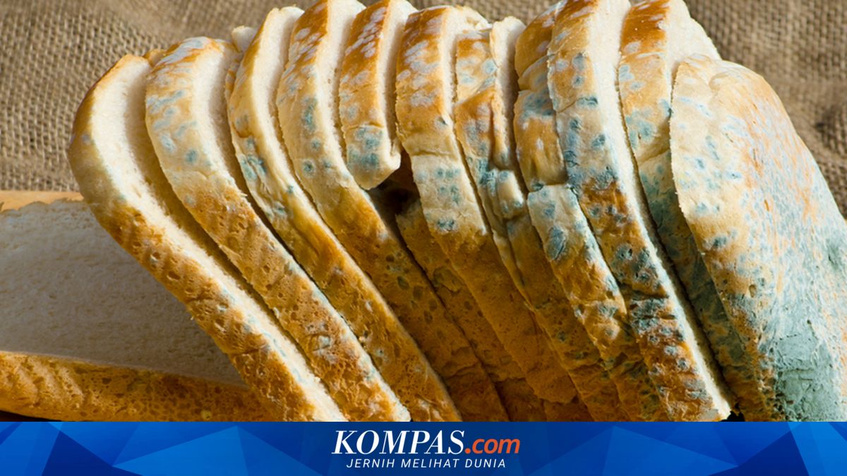 Jangan Konsumsi Roti Berjamur meski Sudah Dibersihkan, Awas Keracunan