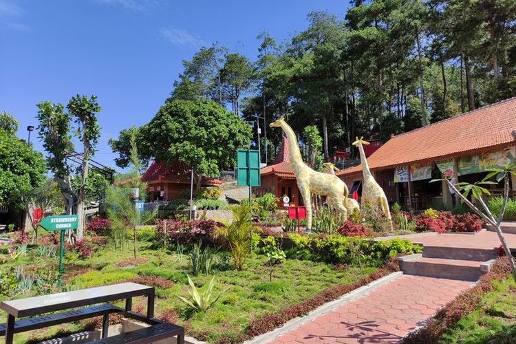 Taman di depan Girimanik Mountain Camp