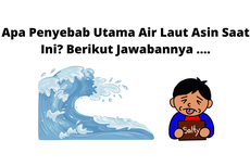 Apa Penyebab Utama Air Laut Asin Saat Ini? Berikut Jawabannya ....