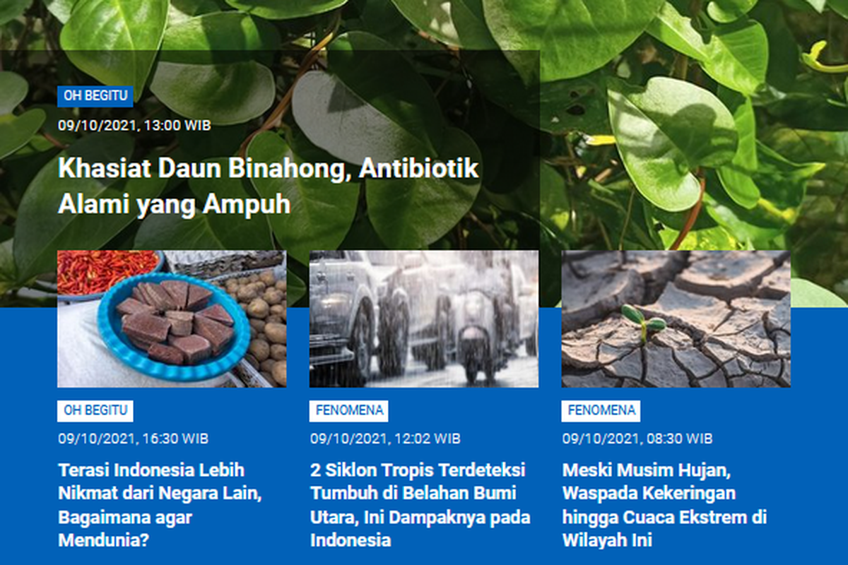 Tangkapan layar berita populer Sains sepanjang Sabtu (9/10/2021) hingga Minggu (10/10/2021). Mulai dari khasiat daun binahong yang menjadi antibiotik alami, terasi Indonesia yang lebih nikmat dari negara lain, hingga waspada kekeringan Indonesia.