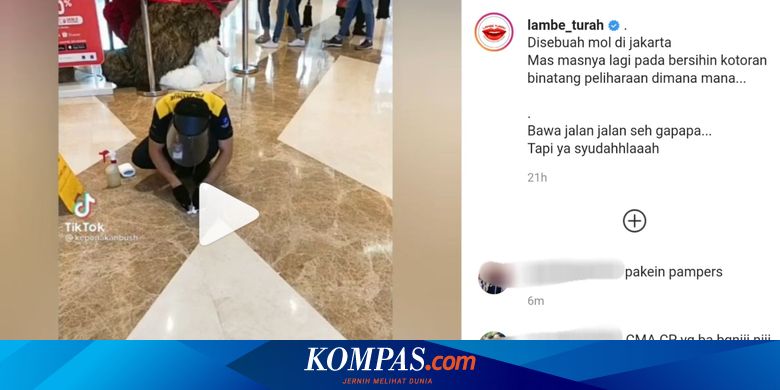 Video Viral Petugas Mal Bersihkan Kotoran Hewan Peliharaan ...