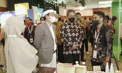 Ketua BRGM Berharap Program Rehabilitasi Bisa Pulihkan Fungsi Ekologis dan Ekonomi Mangrove