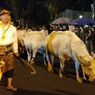 Pengunjung Dilarang Pakai Baju Merah saat Kerbau Kiai Slamet Dikirab Malam 1 Suro