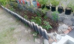 Dari Biopori hingga Maggot, Warga Surabaya Bangun Ekosistem Kampung Ramah Lingkungan