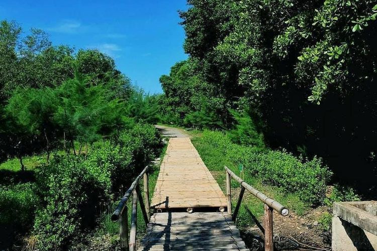 Wisata Mangrove Surabaya sebagai tempat kencan romantis dan murah di Surabaya. Sumber: Instagram Mangrove Surabaya 