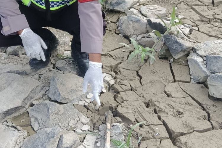 Tengkorak Diduga Kepala Manusia Ditemukan di Pinggir Sungai Citarum Bekasi