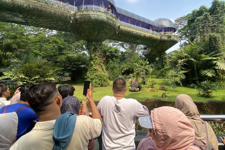 Ada 3 Hari Gratis Masuk Ragunan dalam Rangka HUT Jakarta, Tanggal Berapa?