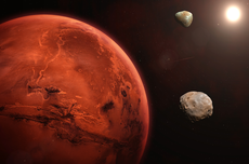 5 Restoran Padang Legendaris di Jakarta, Ayam Goreng sampai Gulai Gajebo