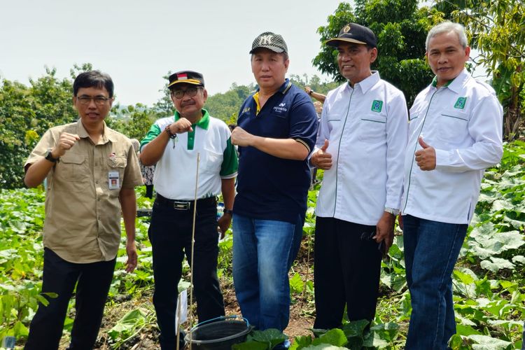 Salah satu bentuk penerapan ESG yang dilakukan Nojorono Kudus adalah pengembangan hortikultura dengan memanfaatkan rumah kaca pembibitan (greenhouse).