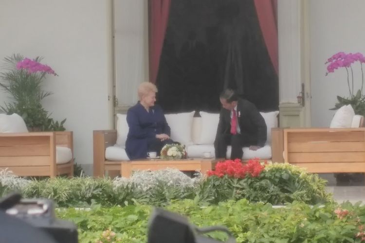 Presiden Joko Widodo dan Presiden Lithuania Dalia Grybauskaite di Istana Kepresidenan, Jakarta, Rabu (17/5/2017).