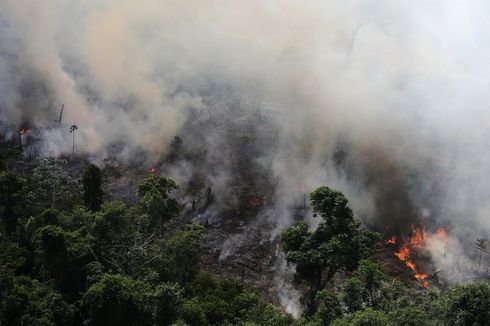 Presiden Perancis Desak Kebakaran Hutan Amazon Jadi Isu Utama KTT G7