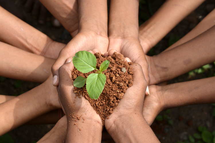 Ilustrasi lingkungan hidup disebut semua makhluk hidup maupun benda di sekitarmu.