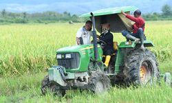 Mentan Optimis Produktivitas Pertanian di Pulau Buru Bisa Ditingkatkan