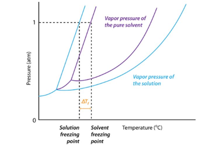 Garis putus-putus menunjukkan penurunan titik beku antara pelarut murni dan larutannya
