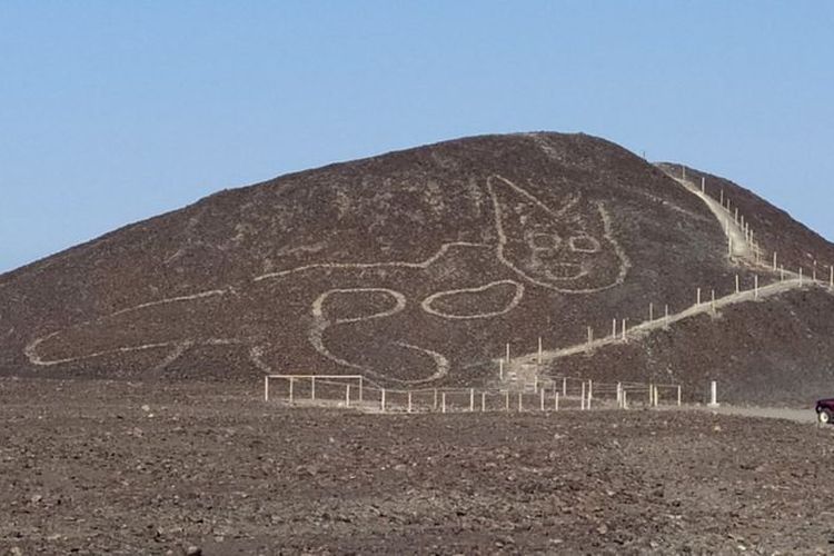 Gambar kucing raksasa yang sedang bersantai ditemukan di Peru, panjangnya sekitar 37 meter.