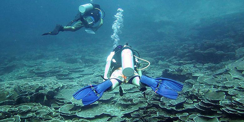 Penyelam melintasi rataan ekosistem terumbu karang yang masih sangat bagus di titik selam Mari Mabuk, Tomia, Wakatobi, Sulawesi Tenggara, Rabu (12/4/2017). Alam laut Wakatobi menjadi unggulan wisata bahari nasional yang perlu dikembangkan secara hati-hati agar tidak malah merusak ekosistem terumbu karang setempat. Wakatobi menjadi salah satu destinasi yang tercetak pada uang kertas baru.