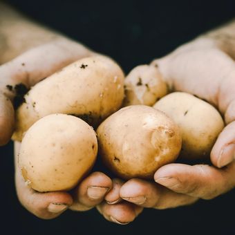 Agar tak kebanyakan sodium ketika membumbui, pilih kentang goreng yang terbuat dari kentang manis yang memiliki kandungan gula alami.