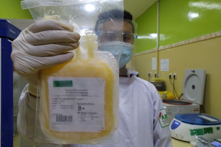 Contoh plasma darah yang telah dibekukan ditunjukan oleh salah satu staf PMI Kota Tangerang, Kamis (17/12/2020).
