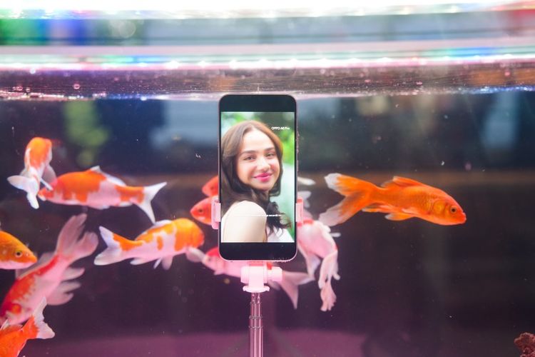 OPPO A6 Pro dapat melakukan live streaming di dalam aquarium. 