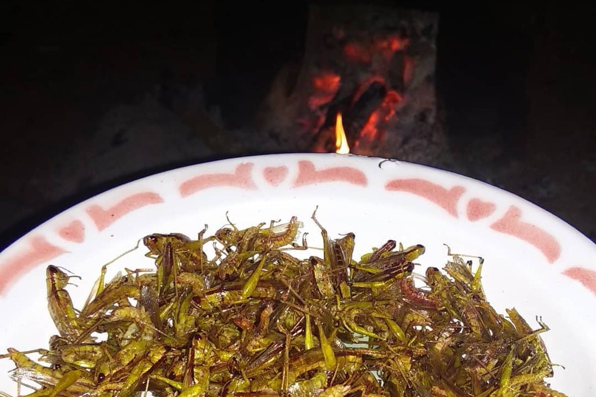 Belalang Goreng