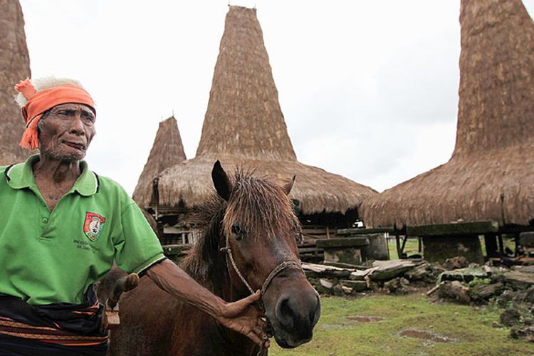 Rato dan Kuda Rato di Sumba Barat, Nusa Tenggara Timur, Rabu (22/3/2017).