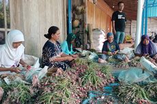 Soal Harga Bawang Merah Anjlok, Ini Kata Dinas Pertanian Demak