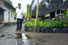 Mengenal Lasiyo, Penjaga Toko yang Jadi 