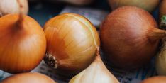 Komisi IV: Pembebasan Impor Bawang Putih dan Bombai Ancam Swasembada Hortikultura
