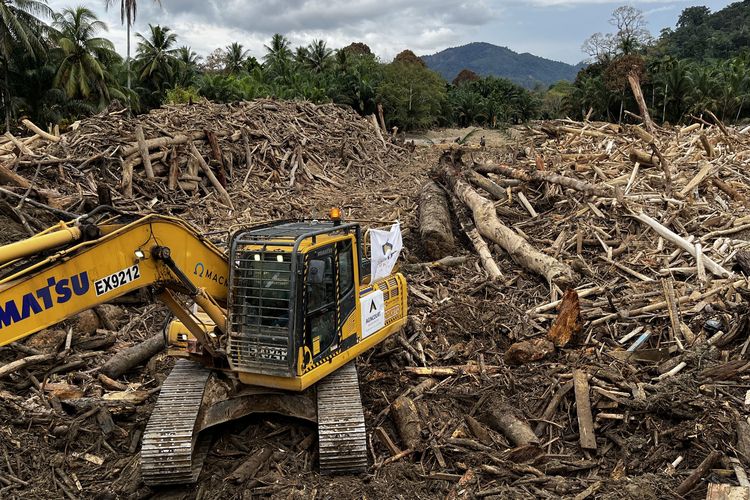 Gelondongan kayu di Desa Garoga, Tapanuli Selatan yang hilang ditelan banjir dan longsor 