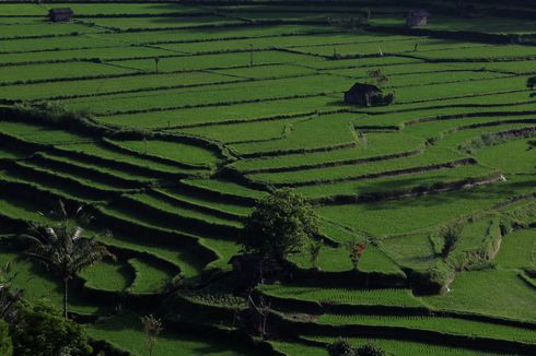 Kembangkan Pariwisata Bali Berdasarkan Zonasi Kearifan Lokal