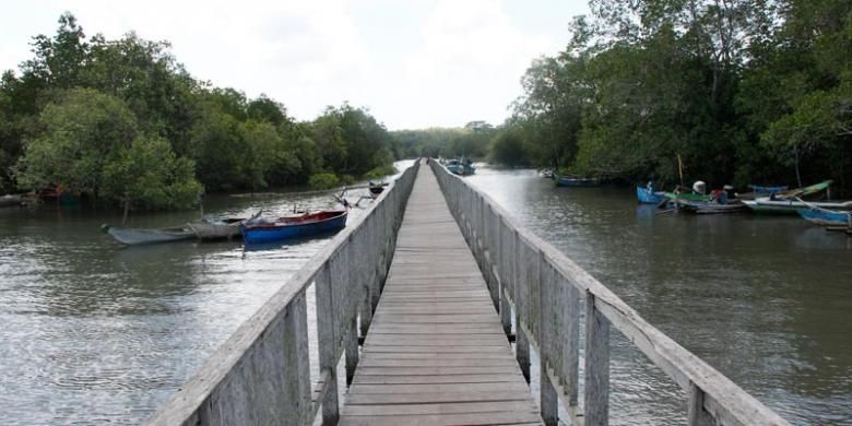 Hutan mangrove Bedul di Banyuwangi, Jawa Timur.