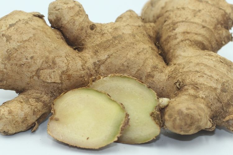 Ilustrasi jahe gajah. 